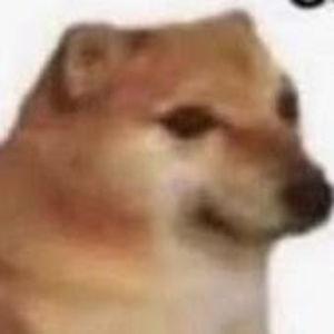 Meet your Posher, Youmatterbro